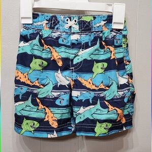 Shark Swim Trunks 24 Months Blue Orange Colorful Fish Beach Colorful C376